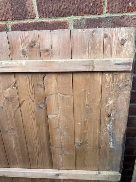 Photo of free Two wooden doors from a small garden storage shed (Seaside BN23) #3