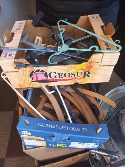 Photo of free Hangers (Torrance G64) #1
