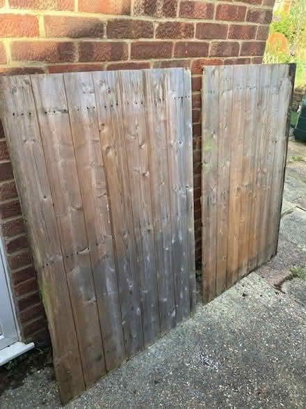 Photo of free Two wooden doors from a small garden storage shed (Seaside BN23) #1