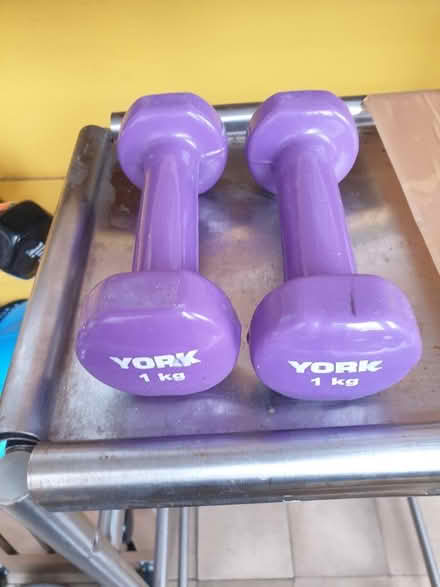 Photo of free 1kg dumbbells (BN3 hove) #1