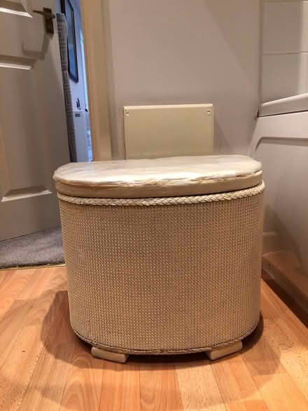 Photo of free Laundry Storage Box (Bovey Tracey TQ13) #1