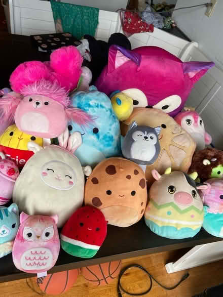 Photo of free Squishmallow Lot- All sizes (Lakewood) #1