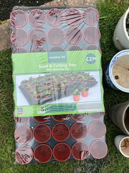 Photo of free Collection of Pots, Seed Cut Tray (Sonning RG4) #1