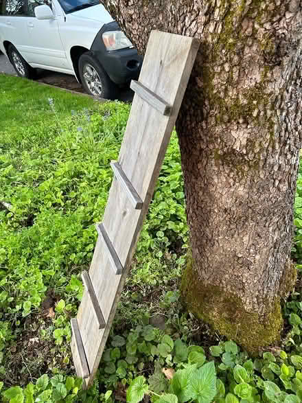 Photo of free Kitty or chicken ladder (NE Portland, Concordia) #1