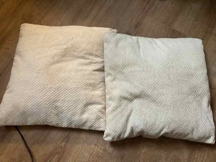 Photo of free Old cushions (Newhaven EH6) #1