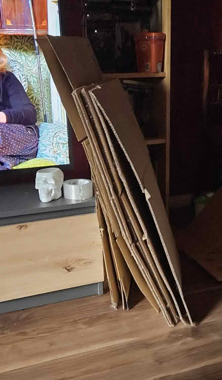 Photo of free Cardboard boxes (Edinburgh EH6) #1