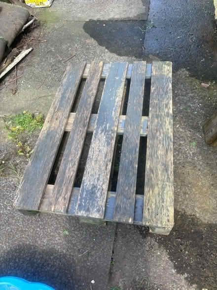 Photo of free 1 x pallet (Warrington WA4) #1