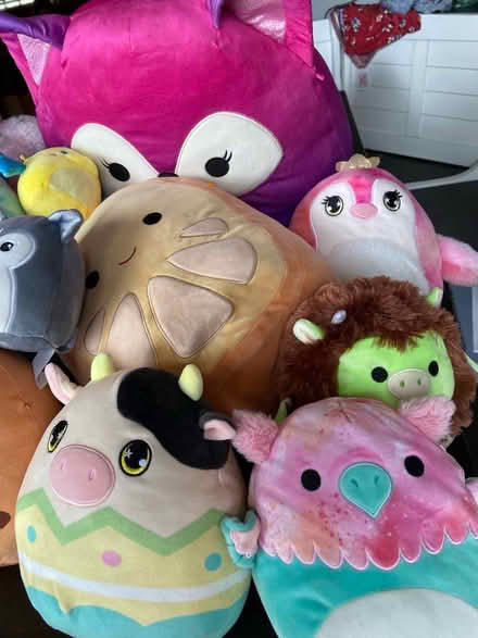 Photo of free Squishmallow Lot- All sizes (Lakewood) #2