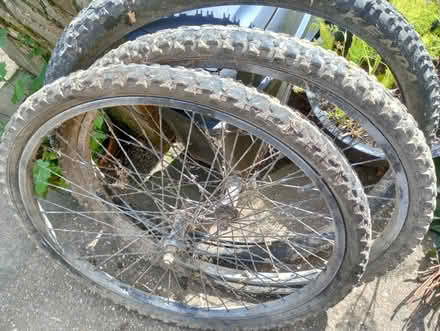 Photo of free Bicycle wheels (Lakenham NR1) #2