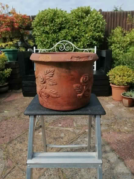 Photo of free Terracotta pot (Langney BN23) #1