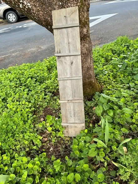 Photo of free Kitty or chicken ladder (NE Portland, Concordia) #2