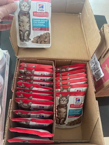 Photo of free 20 pouches of cat food (Murray Hill) #1