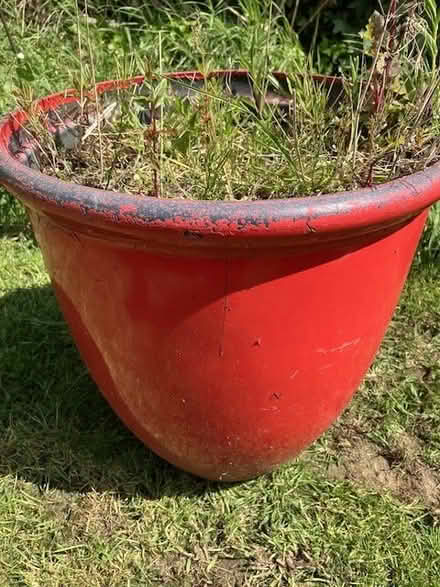 Photo of free Two big plant pots (Seaside BN23) #3
