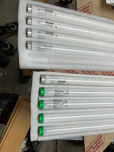 Photo of free T8 fluorescent bulbs (Mountlake Terrace) #2