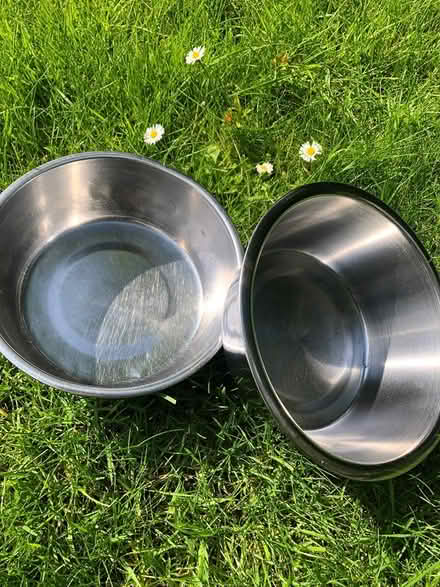 Photo of free Stainless steel dog bowls x 2 (Upton on Severn WR8) #1