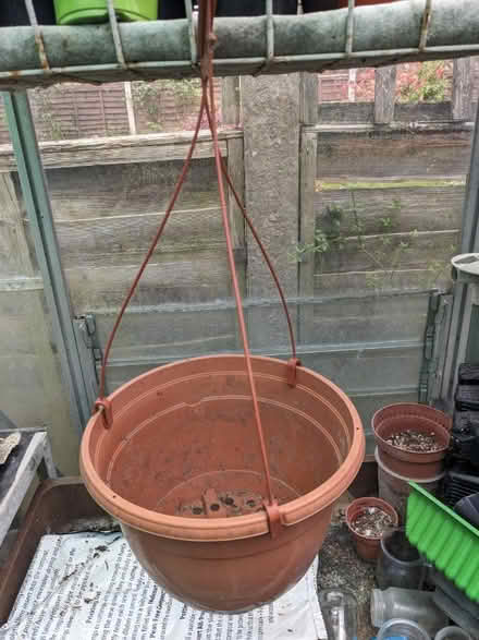 Photo of free Small hanging baskets (Welling DA16) #1