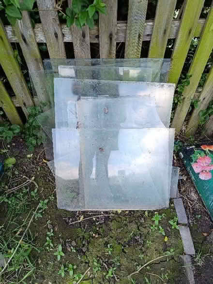 Photo of free Green house glass for spare (New Ferry CH62) #1