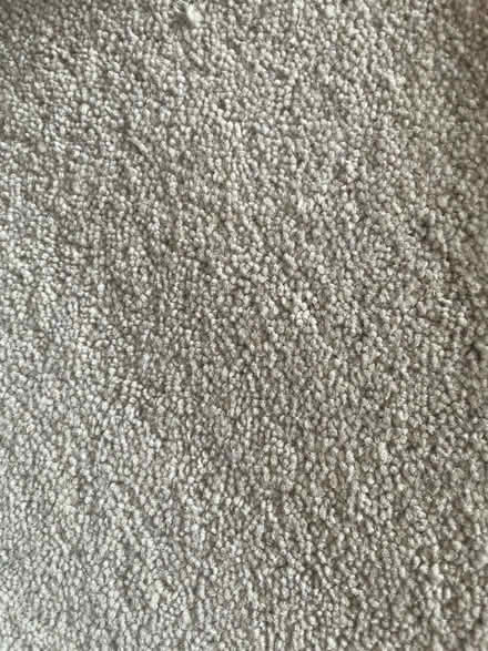 Photo of free Carpet off-cuts (Bowbridge) #2