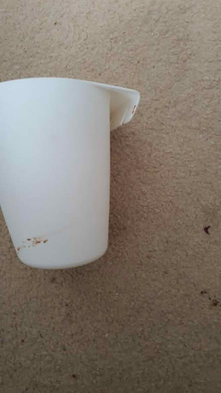 Photo of free Container for storage (thornton heath) #3
