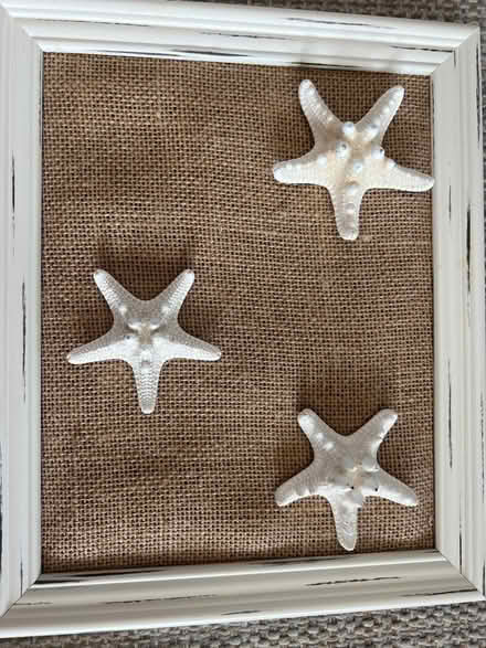 Photo of free Decorative shell pictures (Oak Island - west beach drive) #4
