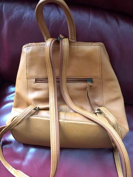 Photo of free Used leather rucksack (SE6) #3