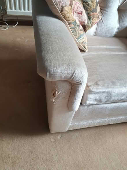 Photo of free Comfortable chair - collect 12 May (Little Bookham KT23) #3
