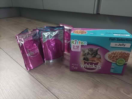 Photo of free Kitten food (Earsfield) #1