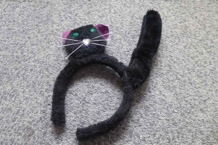 Photo of free Cat head band (Havant PO9) #1