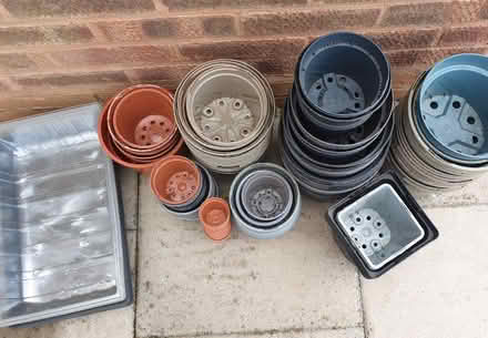 Photo of free Plant pots (Wombourne WV5) #2
