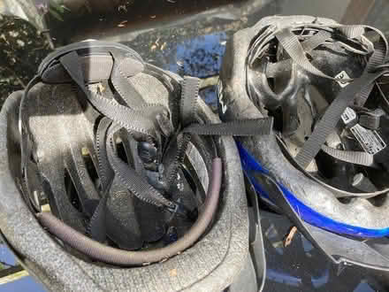 Photo of free Cycle helmets (Malvern Link WR14) #2