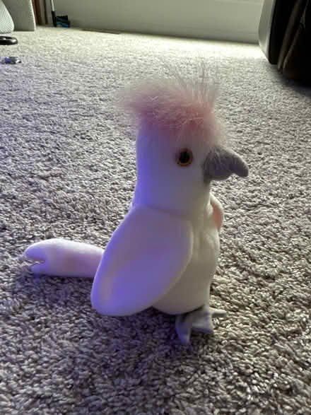Photo of free No tag, Kuku TY beanie baby (Laurel, MD) #1