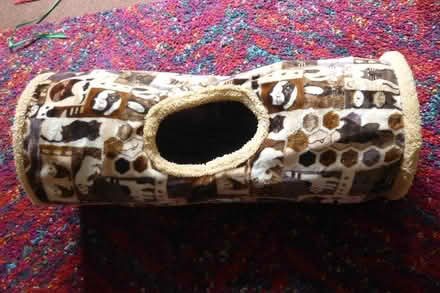 Photo of free Animal/cat tunnel & bag (Havant PO9) #1