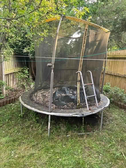 Photo of free Trampoline (M14)