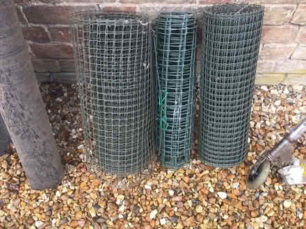 Photo of free Some plastic garden netting (luton LU3) #1