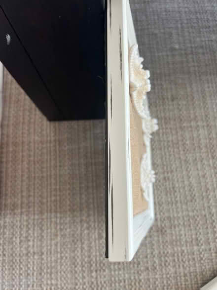 Photo of free Decorative shell pictures (Oak Island - west beach drive) #2