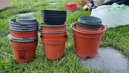 Photo of free Plastic plant pots (Abbey Wood SE2) #1
