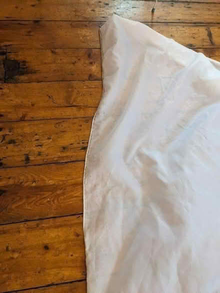 Photo of free Shower curtain + rings (Turnpike Lane N15) #3