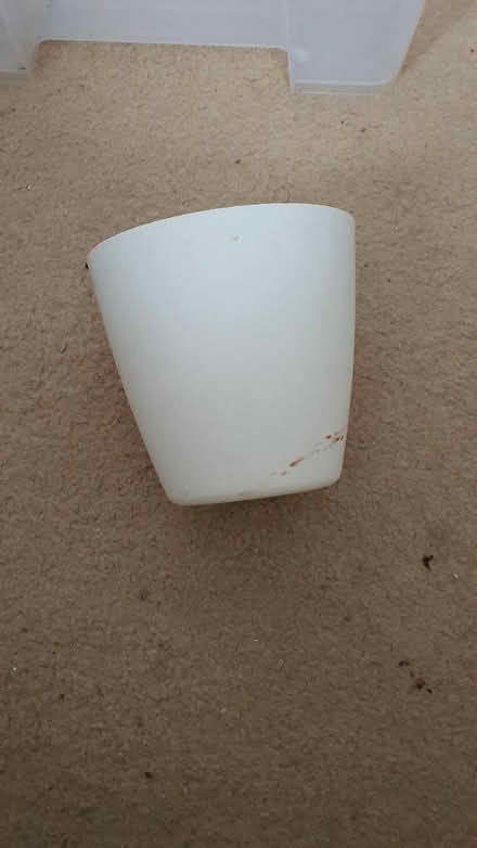 Photo of free Container for storage (thornton heath) #2