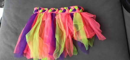 Photo of free Rainbow net skirt (Ashtead - KT21) #1