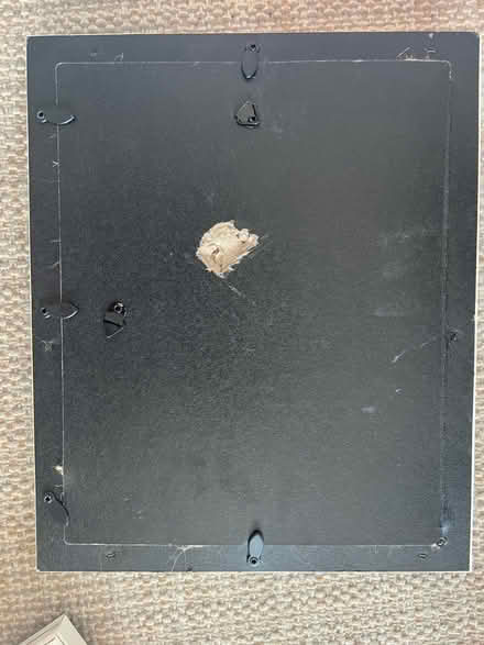 Photo of free Decorative shell pictures (Oak Island - west beach drive) #1