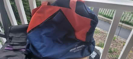 Photo of free Bags (Everett) #2