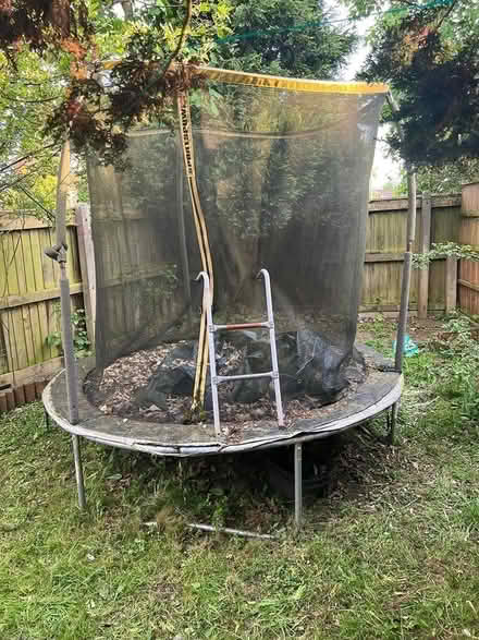 Photo of free Trampoline (M14)