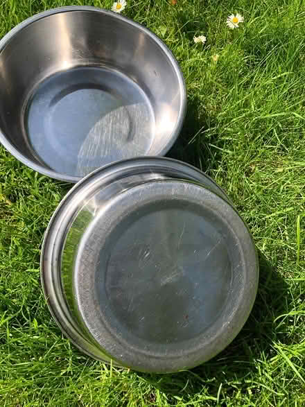 Photo of free Stainless steel dog bowls x 2 (Upton on Severn WR8) #2