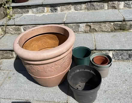 Photo of free Garden stuff (AB32) #2