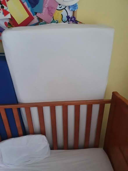 Photo of free Cot Bed (Wallington, SM6) #1