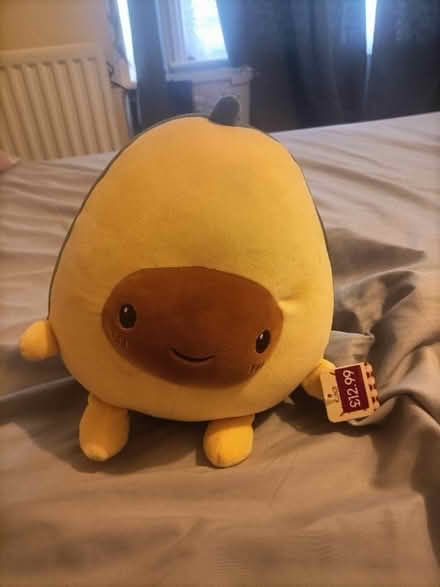 Photo of free Avocado Plushies (Camberley GU15) #2