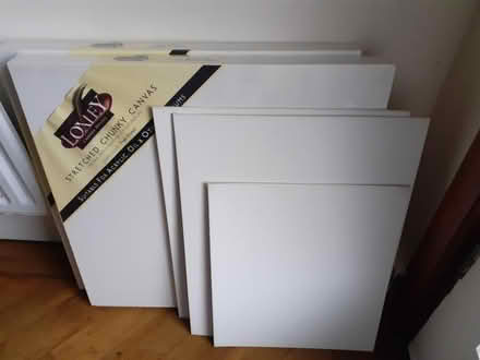 Photo of free Artists canvas boards (N17/N18 border) #1