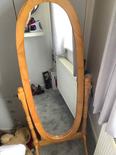 Photo of free Pine mirror (TQ1. Torquay) #1