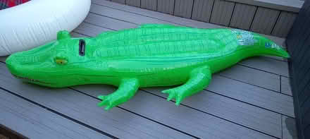 Photo of free Alligator inflatable (Chapeltown S35) #1