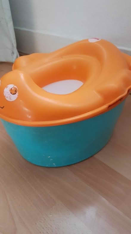 Photo of free Potty seat (Winchmore Hill) #2